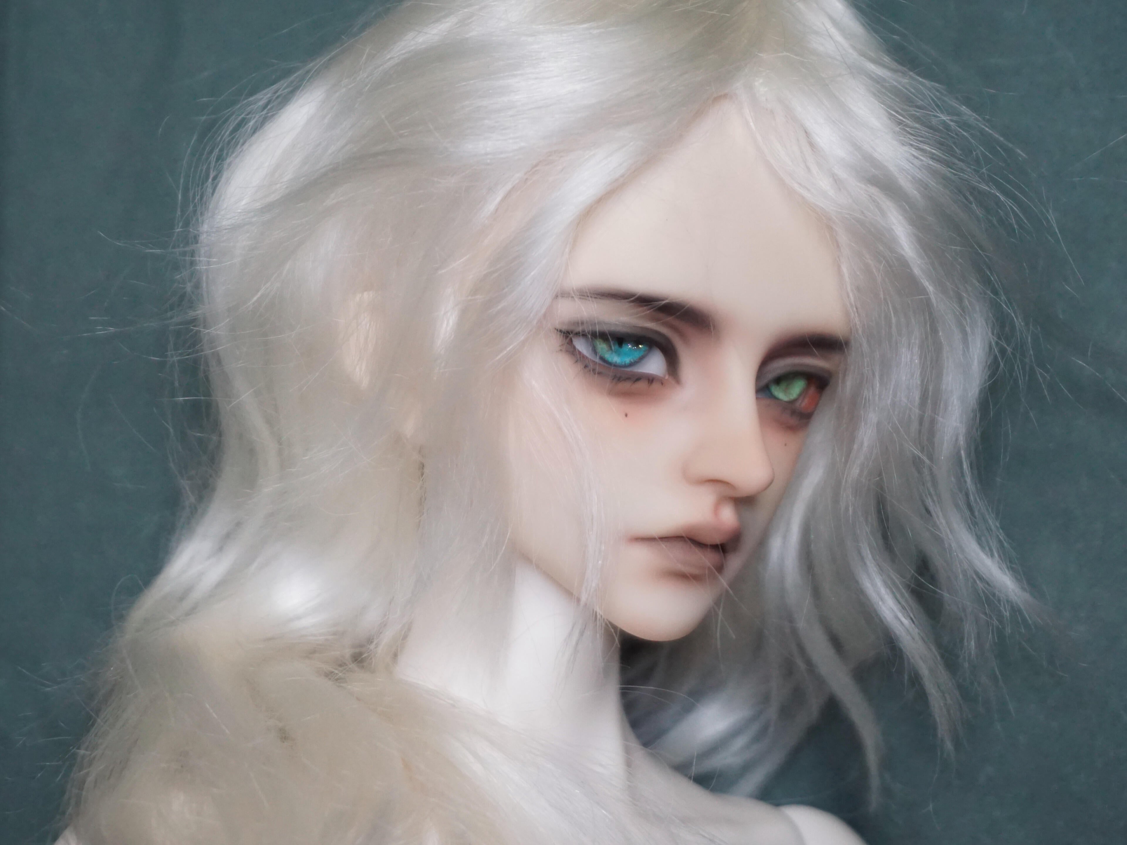 Nightingale Cesare 1/4 bjd head