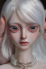Pencezero 1/3 BJD Head Riel