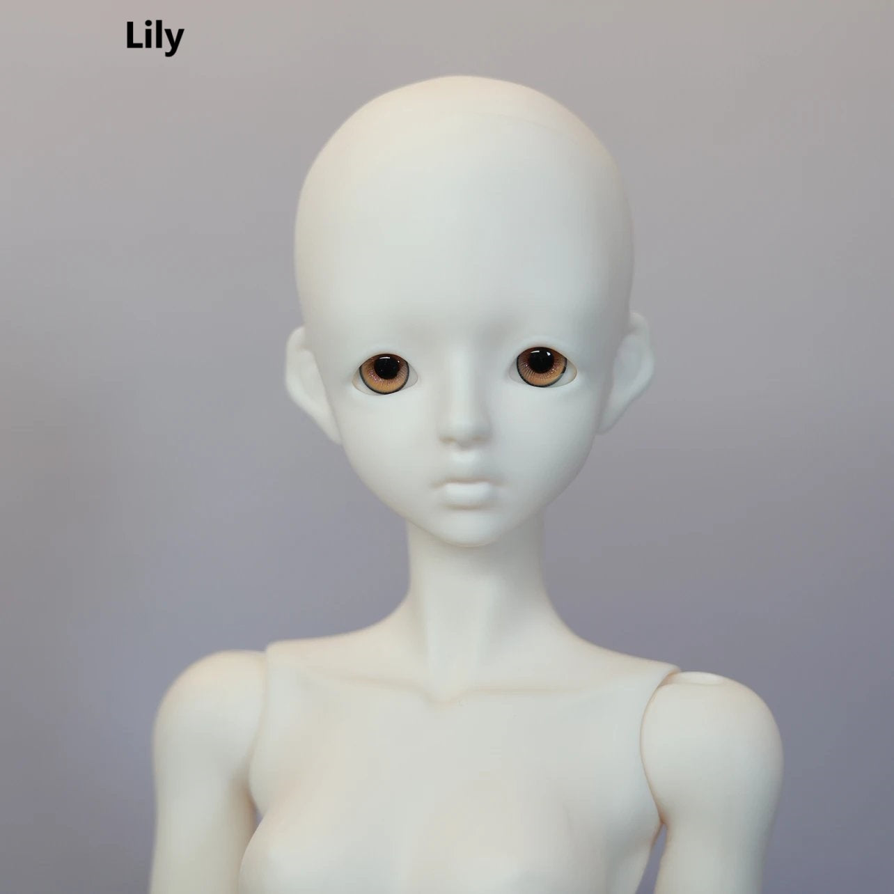 COOO 1/4 1/3 Lily & Glommy Lily bjd head Re-opening