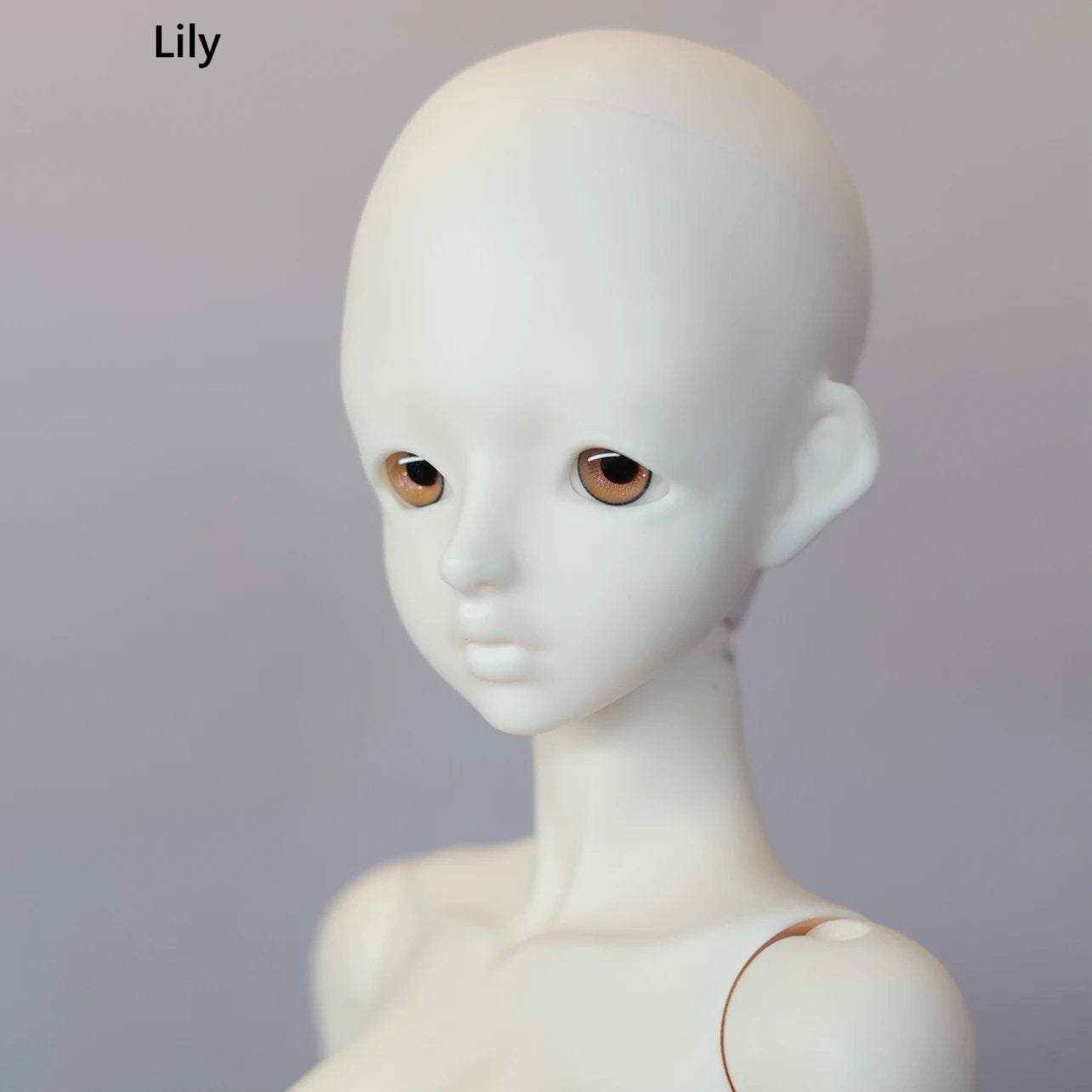 COOO 1/4 1/3 Lily & Glommy Lily bjd head Re-opening