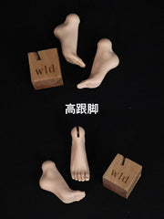 WonderlandDoll hands and feet for 1/4 Lyra BJD body