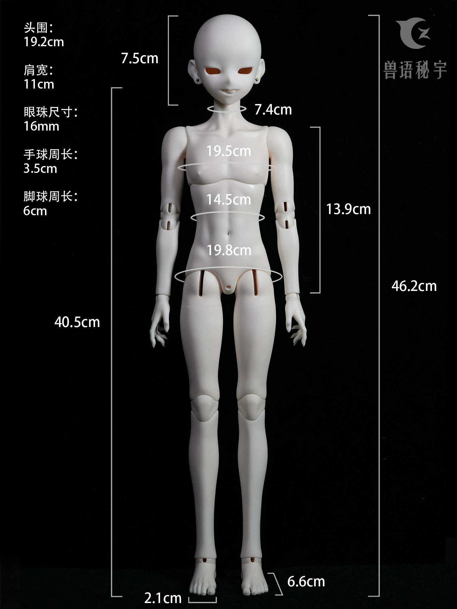 YZdoll 1/4 bjd head nude doll YanSi