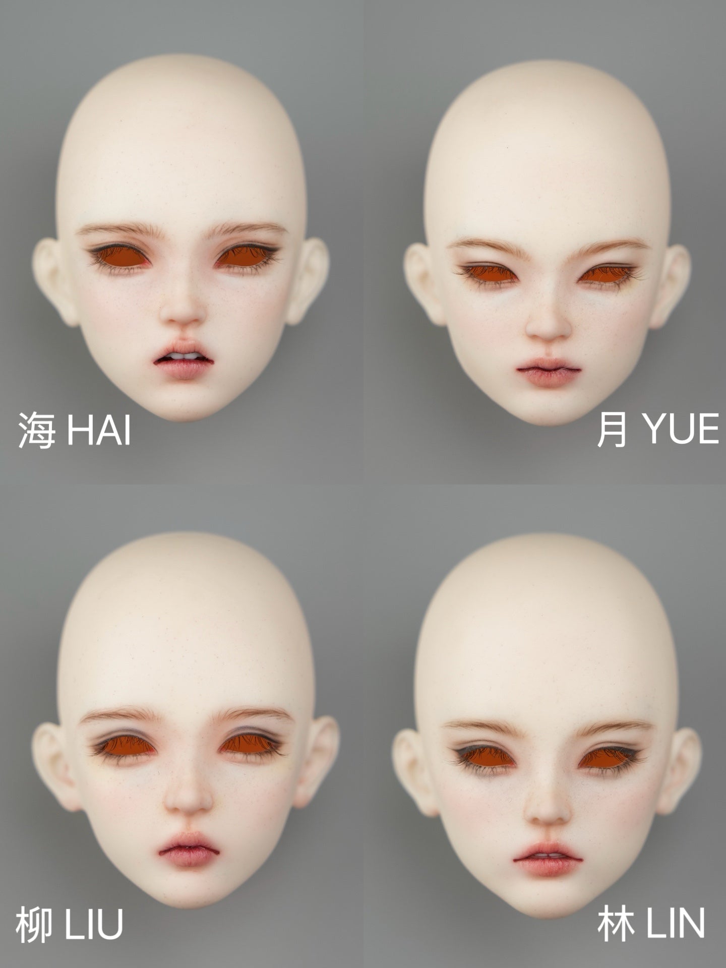 FANFF 1/4 BJD Head HAI YUE LIU LIN