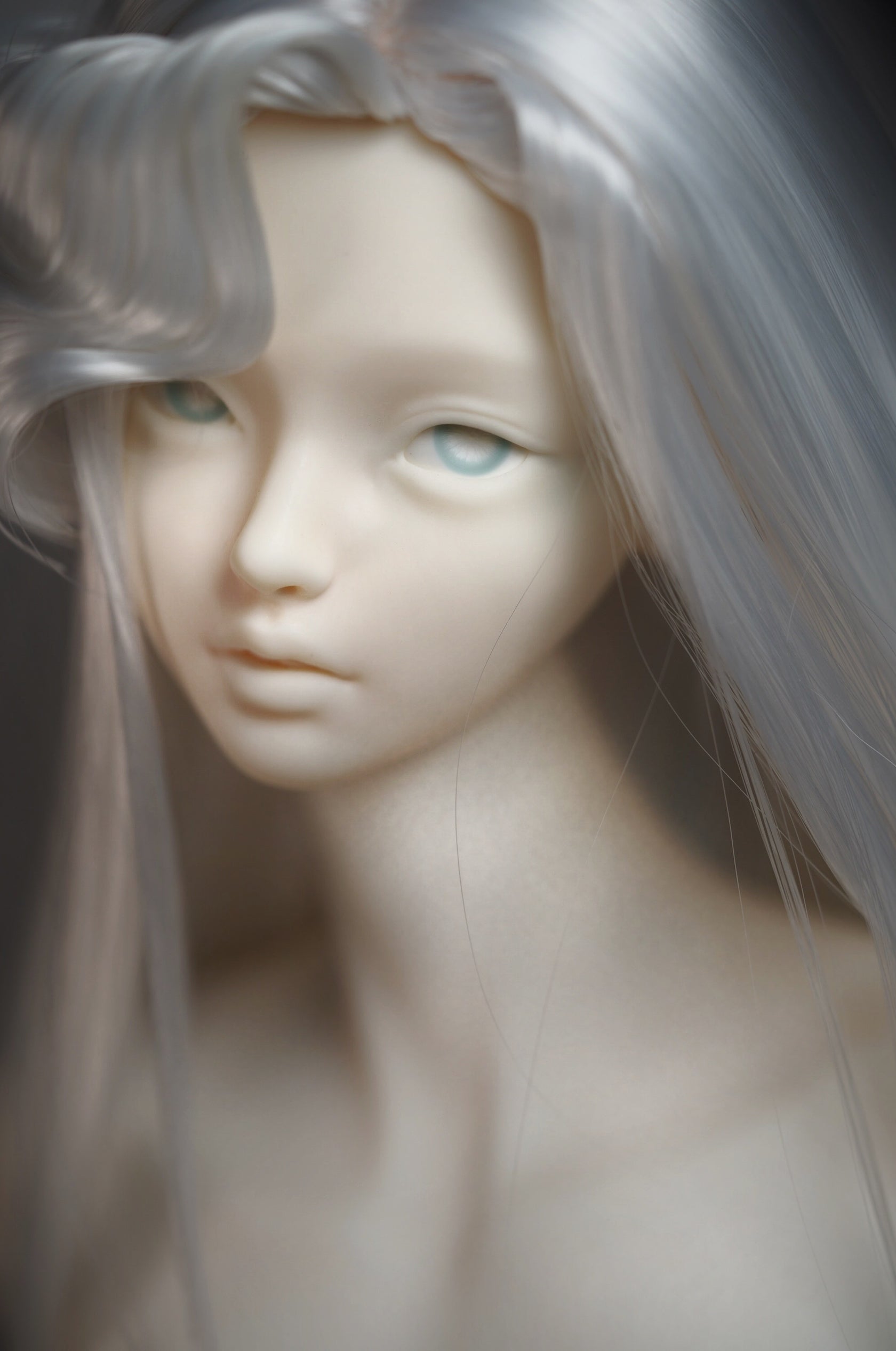 Tianba 1/3 bjd head Fay & Lynn