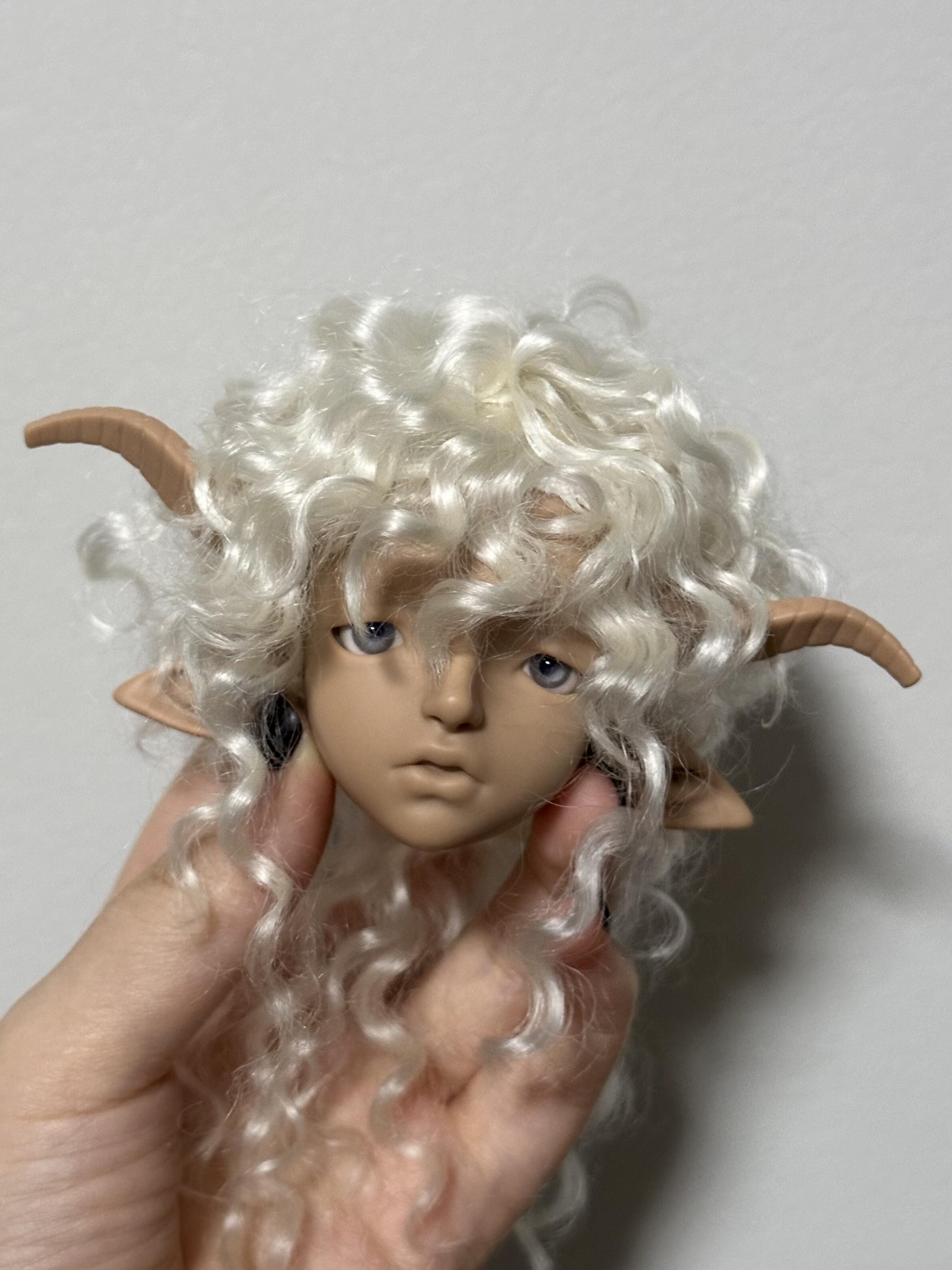 ZhouSi 1/4 BJD head Valais
